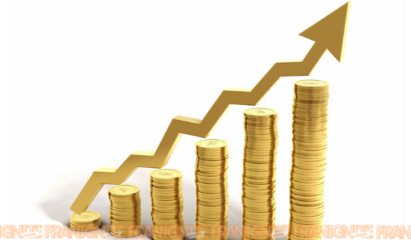 Know How to Maximize Profits and Minimize Losses in Any Business