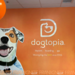 Painting with a Twist and Dogtopia Collaborate Once Again for ‘Paint Your Pet’ Events Benefitting Service Dogs for Veterans