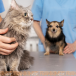 PetWellClinic: Pioneering a New Dawn in Pet care Franchising