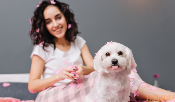 Camp Bow Wow Rides a Wave of Success with Aggressive Franchise Expansion